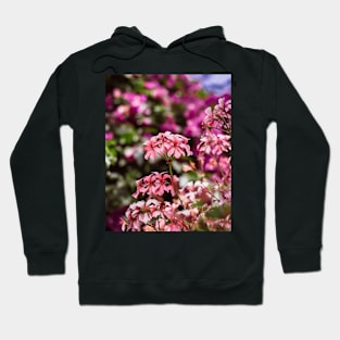 Pink Flowers Hoodie